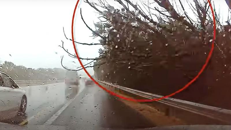 Egy különös baleset eseménye zajlott le az M7-es autópályán, ahol egy hirtelen dőlt fa sújtott le egy autóra. Az esetet rögzítették, és a felvételen látható, hogy a sofőr nem tudta elkerülni a váratlan akadályt. A videó felkeltette az érdeklődést, hiszen 