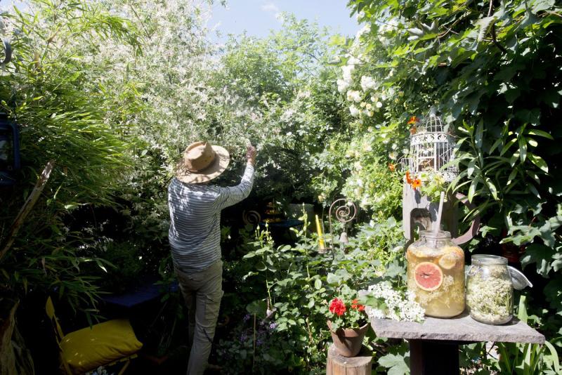 A férfi kilépett a hátsó kertjébe, amikor hirtelen valami szokatlanra lett figyelmes. A fűben egy hatalmas, rég elfeledett ősállat tetemére akadt, ami teljesen megdöbbentette.