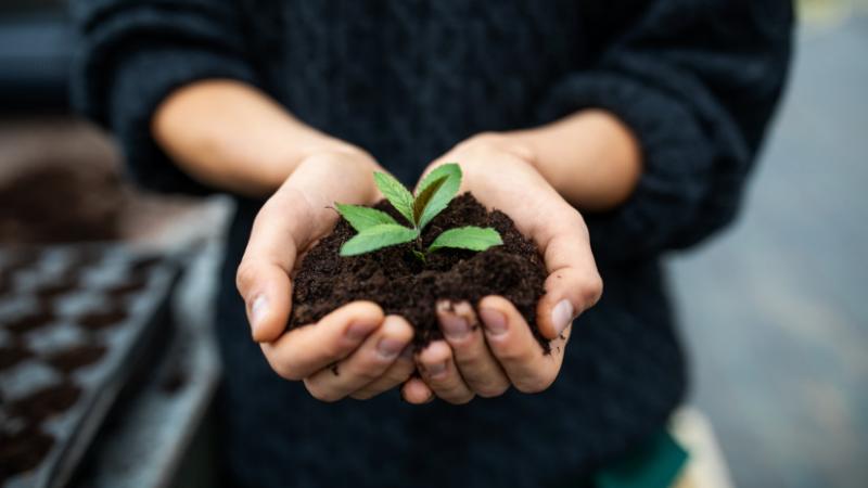 Kiemelkedő támogatásban részesülnek a hazai mezőgazdasági termelők: ezt a lehetőséget érdemes maximálisan kihasználni - Agrárszektor