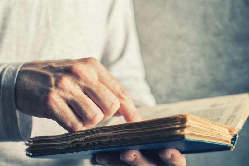 Felfedték Gárdonyi titkos naplójának rejtélyeit, és az Egri csillagokról olyan dolgokat ír, amelyeket talán jobb lett volna soha meg nem ismerni. A sorok mögött sötét titkok és elfeledett igazságok rejlenek, amelyek képesek megváltoztatni mindazt, amit a 