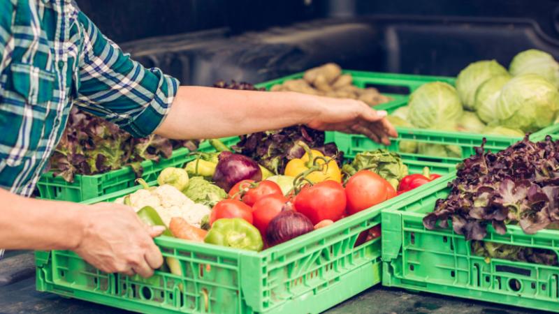 Lecsapott a NAV: meglepő felfedezésre bukkantak a zöldségek között egy kamionban - Agrárszektor

A Nemzeti Adó- és Vámhivatal (NAV) legújabb akciója során egy kamionban különös dolgokra bukkantak, amelyek a zöldségek mellett rejtőztek. Az eset rávilágít a