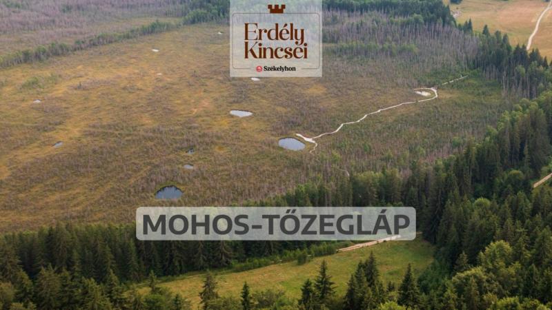 **Erdély kincsei: A Mohos-tőzegláp csodái**

Erdély varázslatos tájain, a Székelyföld szívében található a Mohos-tőzegláp, amely nem csupán a természet csodáit rejti, hanem egyedülálló ökológiai értékekkel is büszkélkedhet. Ez a különleges terület a ritka