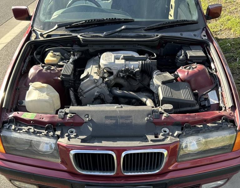 Egy napsütéses ausztrál napon, egy kerti széken pihenve, egy idős úr éppen a BMW-jét irányította. Az autó motorjának zúgása keveredett a természet hangjaival, miközben ő a távolban elterülő vidéket figyelte.