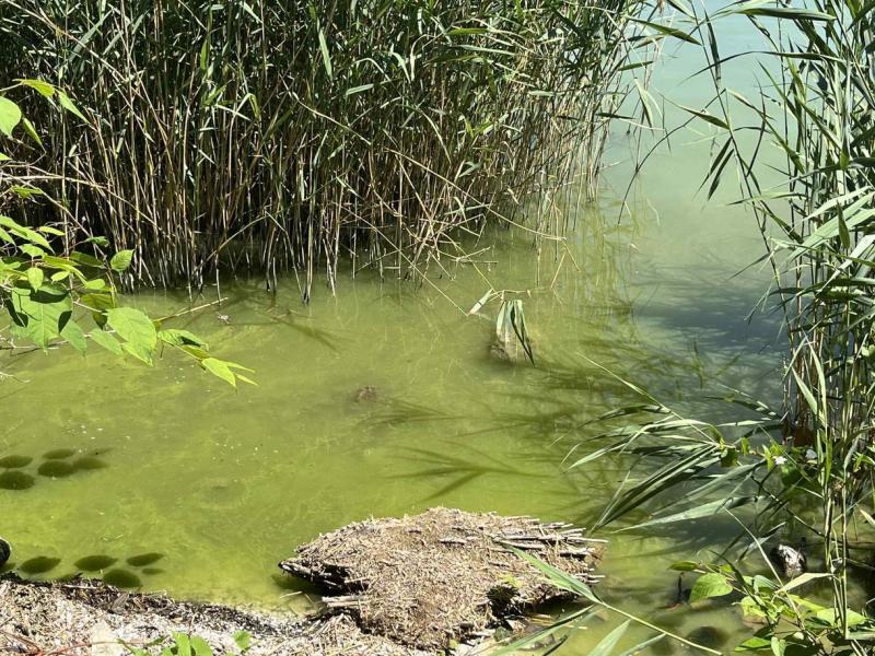 Navracsics Tibor véleménye szerint 40 milliárd forintos befektetéssel megvalósítható lenne a Balaton fenntartható fejlesztése.