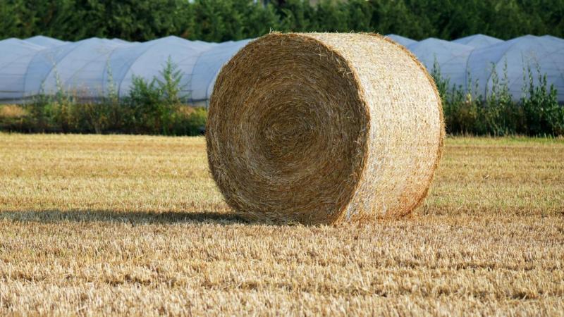 Különös baleset rázta meg a 7-es főút forgalmát.