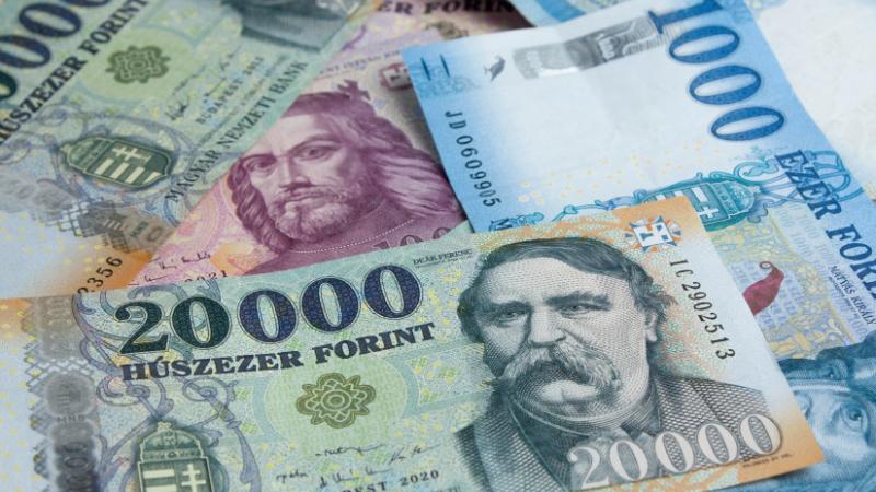 Milliókhoz elérhetnek számos magyar termelő: ez lehet a kulcs az áttöréshez? - Agro Napló