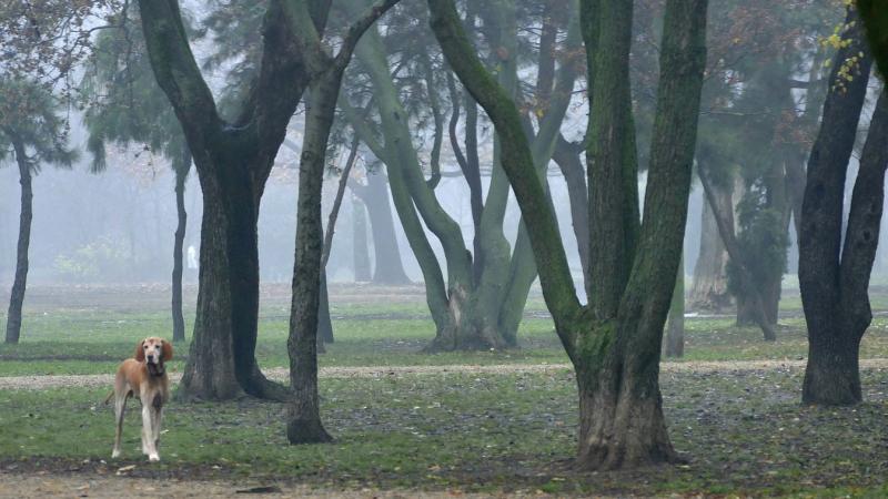 Készüljön fel egy húszfokos hőingadozásra, ha már most azon tűnődne, mit öltözzön fel holnap. Ne felejtsen el egy térképet is hozni, hogy könnyedén eligibilis legyen a változásokra!